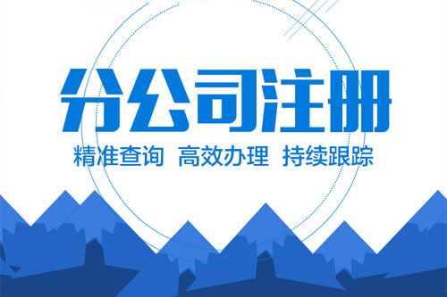 分公司設(shè)立登記申請(qǐng)書怎么寫，有范本嗎