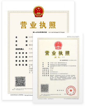 母子公司營業執照（正、副本）